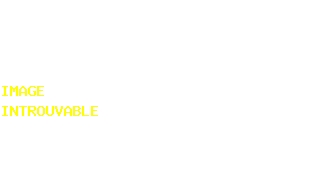 DECOUPE-EPROUVETTES POUR POIDS/M&sup2;