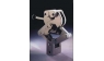 DYNAMOMETRE : ACCESSOIRES