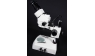 MICROSCOPE TRINOCULAIRE avec caméra intégrée